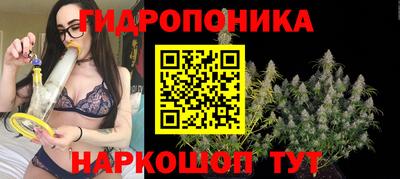 дмт Пугачёв
