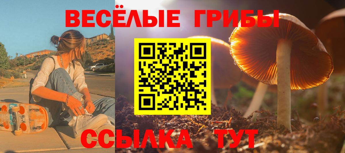 Саратов  Галлюциногенные грибы мухоморы  Вход с VPN  Галлюциногенные грибы прущие грибы 