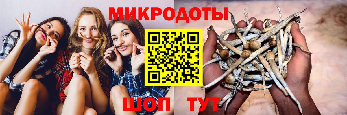 Псилоцибиновые грибы ЛСД Саратов